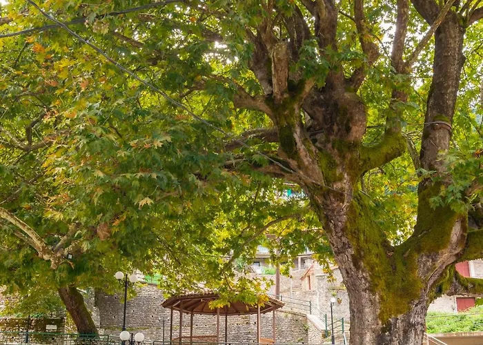 Helidona 3* Mikro Chorio (Central Greece)